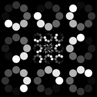 please wait black and white GIF by William Wolfgang Wunderbar