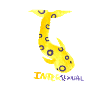 Happy Pride Sticker