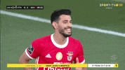 Sl Benfica Slbgif GIF by Sport Lisboa e Benfica