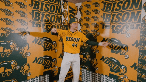 Baseball Bison GIF by NDSU Athletics