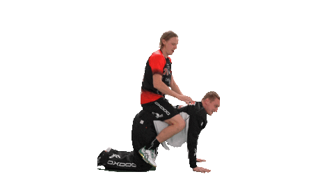 Floorball Salibandy Sticker by F-liiga