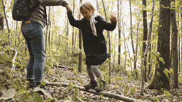 VEOCELbyLenzing wood herbst wald spaziergang GIF