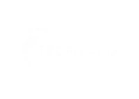 Tucan Sticker by Tropikalia.cz