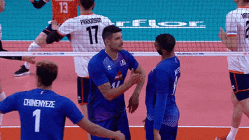 Celebrate Lets Go GIF by Volleyball World