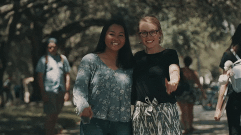 usf bulls GIF by University of South Florida