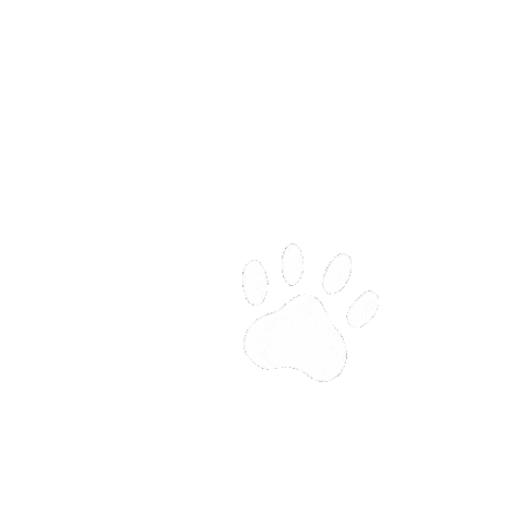 Cat Dog Sticker by eulenschnitt