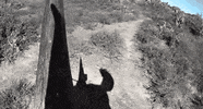mic environment GIF