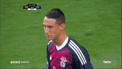 sl benfica slbgifs GIF by Sport Lisboa e Benfica