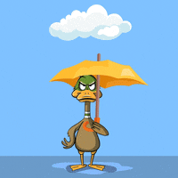 Angry Crypto GIF by BigBrains