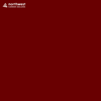 Happy New Year GIF by Northwest Career College