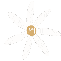 Flower Spring Sticker by dreams4kids