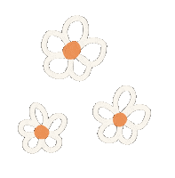muisis flower daisy flor fofo Sticker