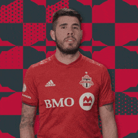 Brush Off Toronto Fc GIF by Major League Soccer