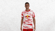 Champions League Football GIF by RB Leipzig