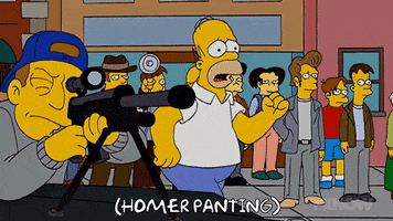 Episode 4 GIF by The Simpsons