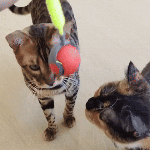 Pelota Interactivo GIF by Cómpralo en Casa