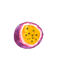 Passion Fruit Cartoon Sticker by Onken Dairy