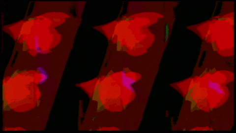 Video Art GIF by cskonopka