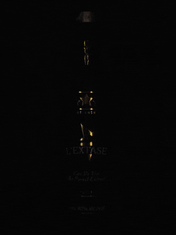 lextasecognac alcohol spirits brandy vsop GIF