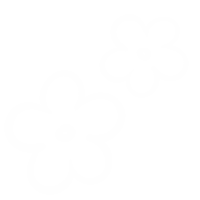 Spring Blooming Sticker by schlumpftine