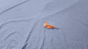 Stop Motion Ocean GIF by Jeremy Speed Schwartz