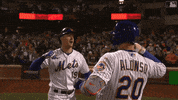 Ny Mets Baseball GIF by MLB