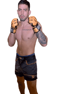 Mma Artes Marciales Mixtas Sticker by LUX Fight League