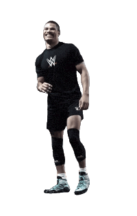 Wwe Next Gen Sticker by The Roku Channel