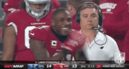 Arizona Cardinals Football GIF by NFL