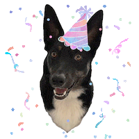 Celebrating Happy Birthday Sticker