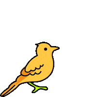 klmmr romance bird singing sing Sticker