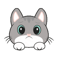 Cat Confundido Sticker