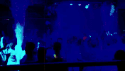 episode 1 GIF by Geordie Shore