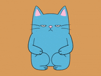 thenopecat reaction cat no mood GIF