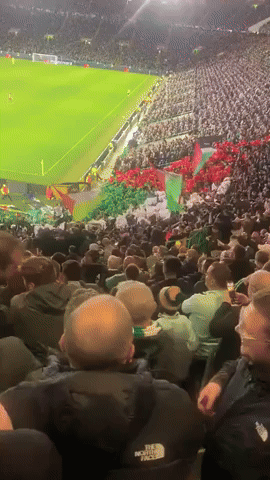 Celtic Fans Defy Club Request and Fly Palestinian Flags at Match