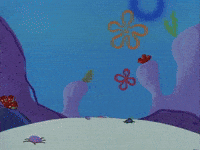 season 1 texas GIF by SpongeBob SquarePants