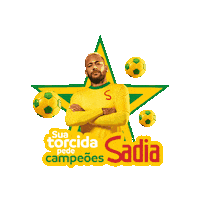 World Cup Football Sticker by brfsadia
