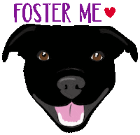 Pit Bull Dog Sticker by HeARTs Speak