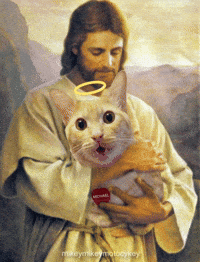 Cat Jesus GIF