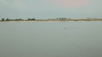 mississippi GIF