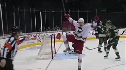 brendan woods celebration GIF by Charlotte Checkers