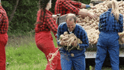 Euskara Euskalherria GIF by EiTB