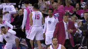 creighton bluejays bench GIF by Creighton University Athletics