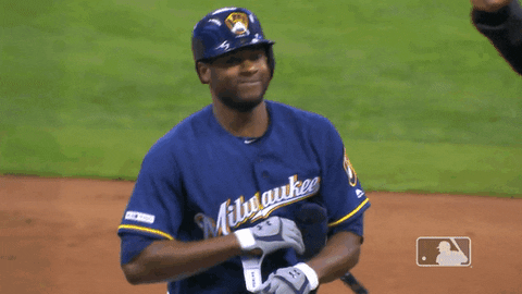 major league baseball smile GIF by MLB
