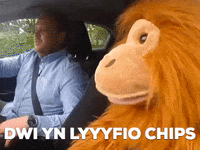 chips gareth GIF by Carw Piws