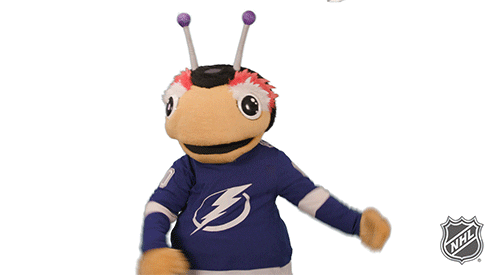 Ice Hockey Sport GIF by NHL