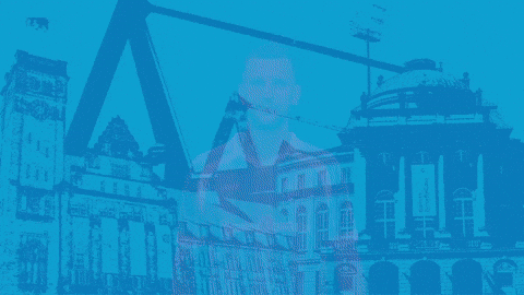 Football Tor GIF by ChemnitzerFC