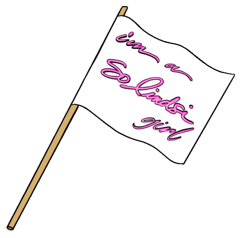 Pink So Lindsi Sticker by LINDSI LANE STYLE