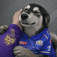 Mumbai Indians Kkr GIF