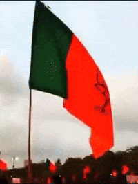 Rahul Gandhi Lotus GIF